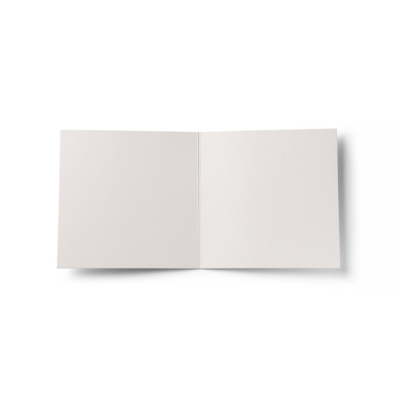 Blank Cards